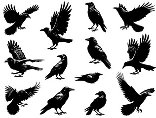 set of crow silhouettes