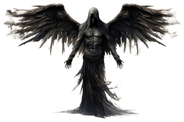 Angel adult bird white background.