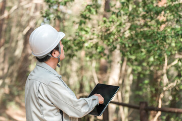 公園・森林で樹木をチェックする作業着姿の林業の男性

