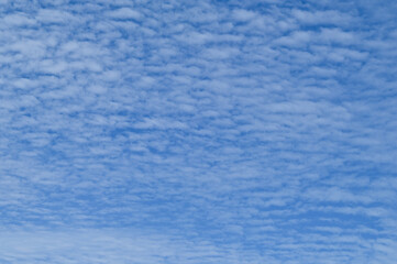 Beautiful white cloud and blue sky on background.
