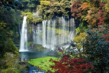 Fototapeta premium A serene waterfall surrounded by vibrant autumn foliage and lush greenery.