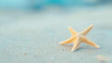 Single starfish on a pristine beach, embodying uniqueness and simplicity, set against a minimalist backdrop, evoking tranquility and the beauty of solitude