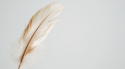 Feather in the Breeze, a solitary bird feather dances in the wind, embodying freedom and lightness against a minimalist backdrop of clean, open space.