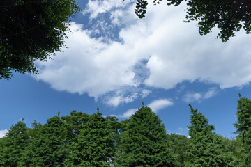 白い雲が広がる青空と緑色の木々