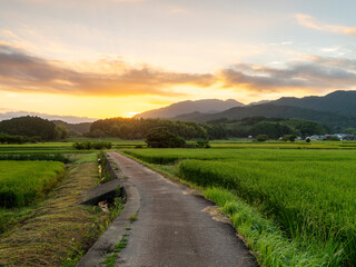 朝焼けの明日香村