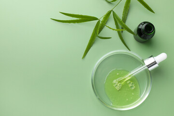 Petri dish with cosmetic product, bottle, pipette and leaves on green background, flat lay. Space for text