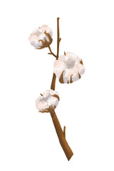 Branch with cotton flowers. Colored watercolor marker digital illustration