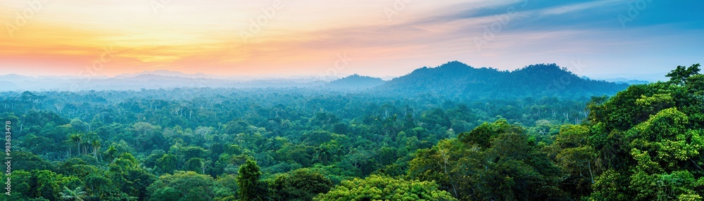 Poster Lush Rainforest Landscape at Sunset.