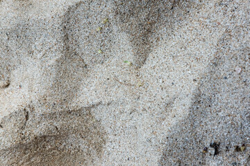 High-Quality background of white beach sand with natural pattern. close up, low angle view of brown sandy surface in tropical resort. Vacation and summer holiday concept. Selective focus.