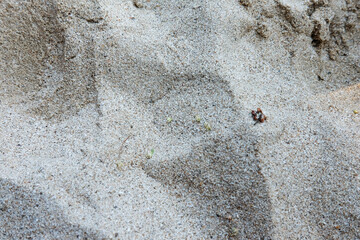 High-Quality background of white beach sand with natural pattern. close up, low angle view of brown sandy surface in tropical resort. Vacation and summer holiday concept. Selective focus.