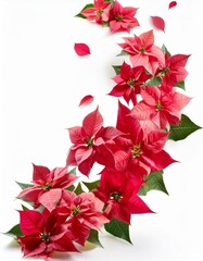 Flores de colores