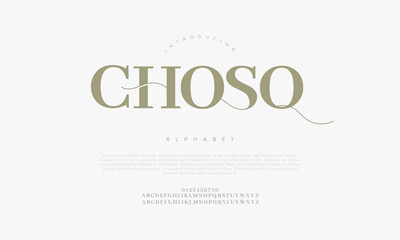 Chosq typography beauty fashion elegant minimalist serif italic fonts decorative wedding vintage retro logos. Minimal luxury font alphabet logo. Vector illustration