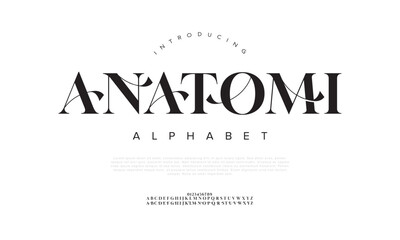 Anatomi typography beauty fashion elegant minimalist serif italic fonts decorative wedding vintage retro logos. Minimal luxury font alphabet logo. Vector illustration