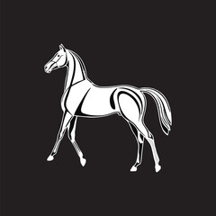 horse mascot logo concept design