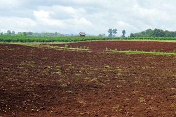 agriculture landscape in the countryside