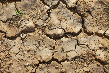 Background of dry cracked earth. Texture of dry cracked earth. Abstract background for design.