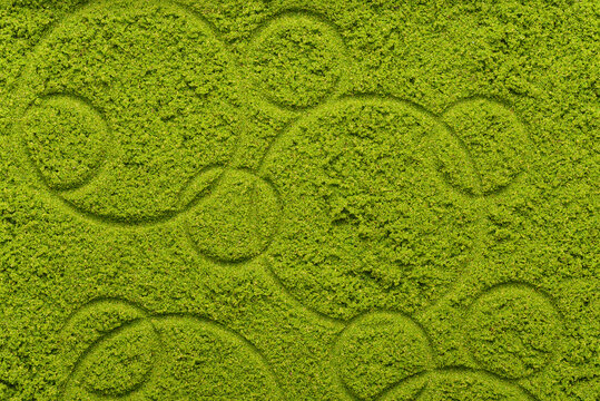 Texture of green wolffia background, Local asian food ingrediant for cooking healthy cuisine