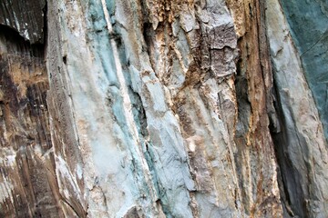 Close-up of textured rock surface with various colors and patterns.