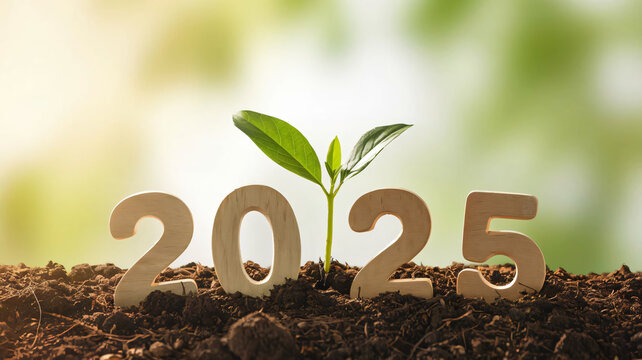 More business growth in the new year 2025 made of wood, New Year 2025 on the ground, natural green background, New Year concept.