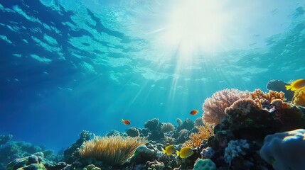 A coral reef being carefully monitored by divers, symbolizing marine preservation.