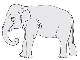 Elephant in line art ready to paint.