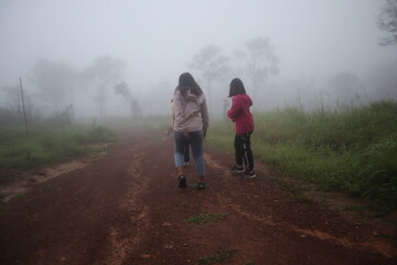 Hiking spots in Thailand Carrying a backpack through the forest Travel to Thailand, breathe in oxygen to fill your lungs, travel, trekking, fog, green trees. 