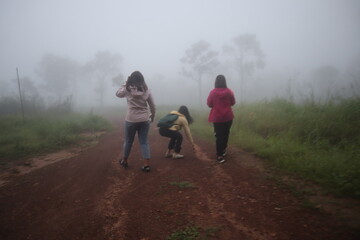 Hiking spots in Thailand Carrying a backpack through the forest Travel to Thailand, breathe in oxygen to fill your lungs, travel, trekking, fog, green trees. 