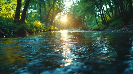 A river flowing through a forest with signs of active preservation efforts along the banks.