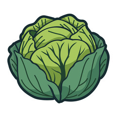 cabbage vegetable nature healthy food vector illustration template design