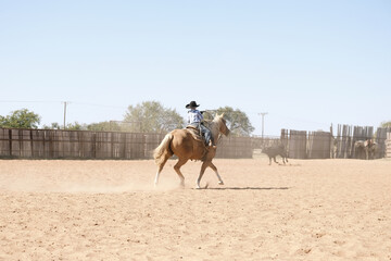 Western ranch childhood with kid cowboy practicing rodeo roping in outdoor arena in rural Texas.