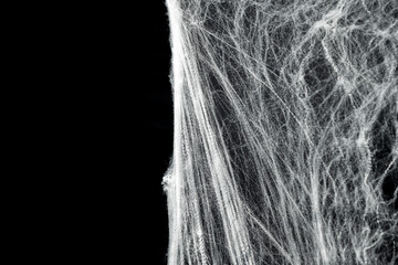 Spooky creepy cobweb spiders web covered a black background