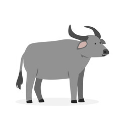 Water buffalo simple vector illustration. Vietnamese buffalo cartoon clipart, animal in flat style. Farm animals concept, rural farming. Livestock animal buffalo vector design isolated on white
