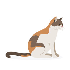 Cat simple vector illustration. Cute Calico cat cartoon clipart, animal in flat style. Farm animals concept, rural farming. Livestock animal cat vector design isolated on white background