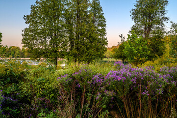 Obraz premium Tranquil path through a lush forest in Green Lakes Park, NY, revealing vibrant wildflowers and verdant undergrowth. Perfect for depicting serene, natural escapes and seasonal changes.