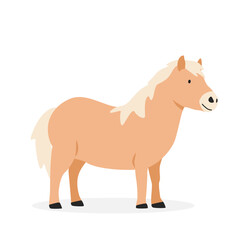 Pony simple vector illustration. Cute pony cartoon clipart, animal in flat style. Farm animals concept, rural farming. Livestock animal pony vector design isolated on white background