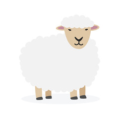 Sheep simple vector illustration. Cute sheep cartoon clipart, animal in flat style. Farm animals concept, rural farming. Livestock animal sheep vector design isolated on white background