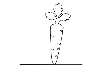 Continuous one line drawing of isolated carrot outline vector art illustration 
