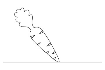Continuous one line drawing of isolated carrot outline vector art illustration 
