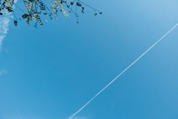 青空に走る長い飛行機雲　旅行・航空機・アウトドアの背景