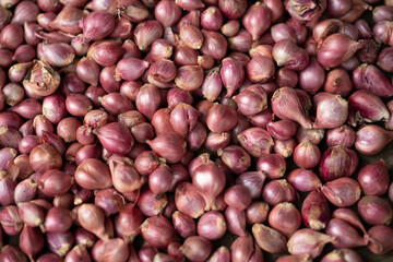 red onion background
