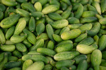 cucumbers in a market