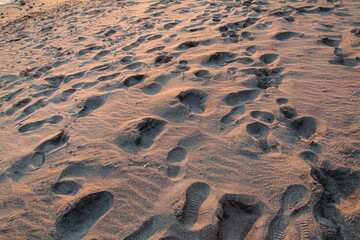 Footprints in the sand on the beach