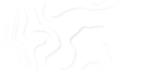 Abstract origami papercut gray color texture, curved layers and elevation contour, Abstract geometric white and gray color background.