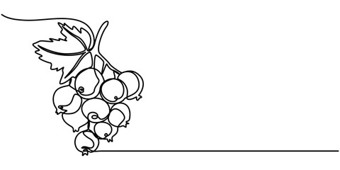Black currant vector illustration. One line art drawing with organic black currant, Blackcurrant in continuous line drawing style. Group of blackcurrant fruits with leaves on a white background.