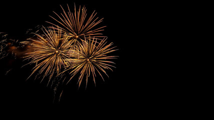 Colorful fireworks burst in the night sky during a festive celebration