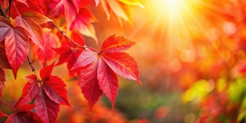 Vibrant red autumn leaves standing out against a blurred background in warm sunlight, autumn, foliage, red, leaves, vibrant
