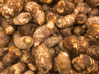 Yam scattered. Fresh vegetable yam background