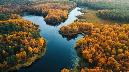 Aerial View of a Serene River Winding Through Autumnal Forest