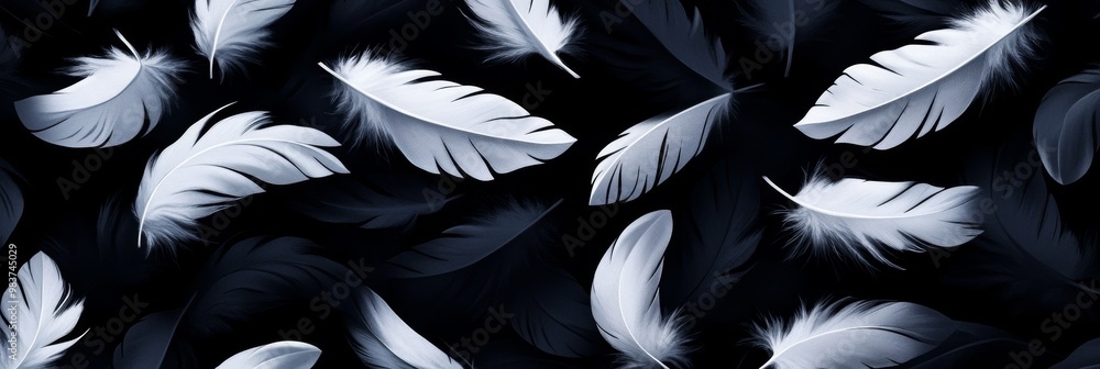 Poster white feathers on a black background create a seamless pattern symbolizing lightness, purity, freedo