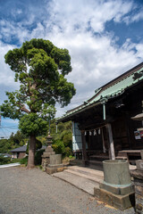 鎌倉249　山ノ内八雲神社2